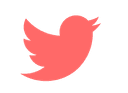 Twitter logo hovered